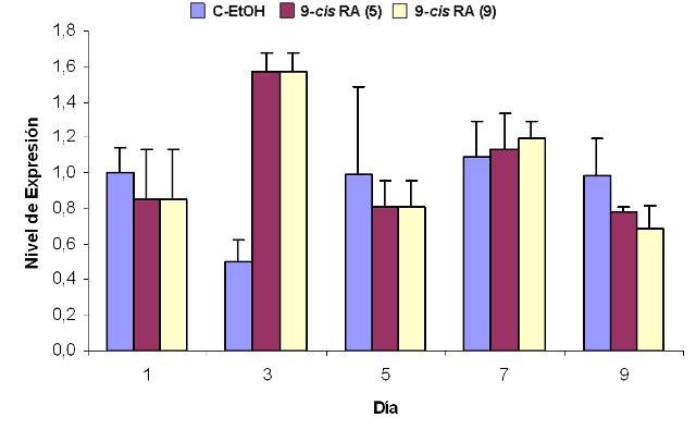 Figura 9. Efecto del tratamiento con 9-cis RA sobre la expresin de Rb1 en clulas IMR-32. Se representan los niveles de expresin relativa de Rb1 con respecto al control interno GAPDH (expresados como 2-ΔΔCt) frente a los das de tratamiento. (9) indica exposicin al 9-cis RA durante 9 das. (5) indica exposicin al 9-cis RA durante los 5 primeros das de tratamiento. Los valores que se muestran (media  SEM) se calcularon a partir de los resultados obtenidos tras la realizacin de 3 experimentos realizados por triplicado.